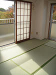 DSC02666.JPG