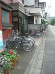 P1050185.JPG