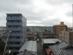 IMG_8391.JPG
