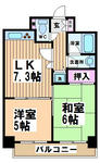 47572df2.jpeg