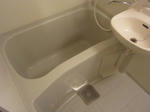 IMG_8543.JPG