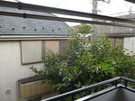 P1090020.JPG
