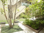 P1150187.JPG