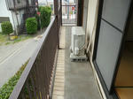 P1100491.JPG