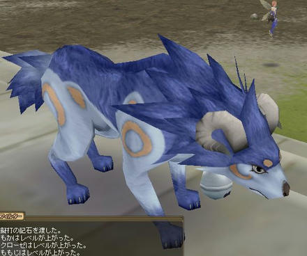 a1.jpg
