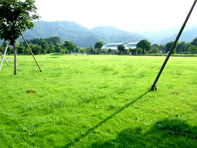 4d4712e5.jpg