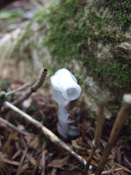DSCF3665.JPG