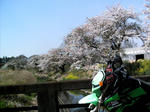 IMAG0012.JPG