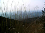 IMAG0017.JPG