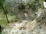 IMAG0019.JPG