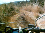 IMAG0022.JPG