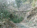 IMAG0033.JPG