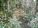 IMAG0034.JPG