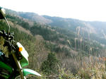 IMAG0039.JPG