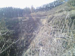 090409-135510.jpg