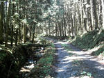 IMAG0005.JPG