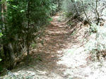77940b02.JPG