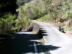 IMAG0024.JPG