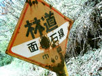IMAG0025.JPG