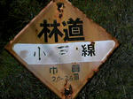 IMAG0029.JPG