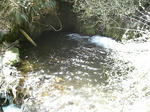 IMAG0031.JPG