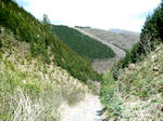 IMAG0042.JPG