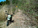 IMAG0048.JPG