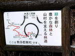 IMAG0052.JPG