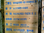 IMAG0059.JPG
