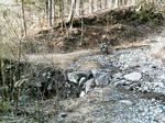 IMAG0069.JPG