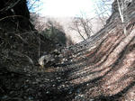 IMAG0071.JPG