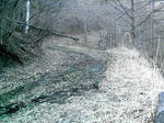 IMAG0072.JPG