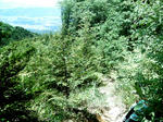 IMAG0006.JPG