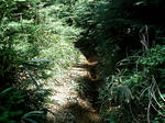IMAG0011.JPG