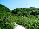 6cdac224.JPG