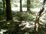 332a8f2c.JPG
