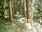 IMAG0020.JPG