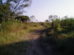 091015-151145.jpg