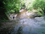 100504-092342.jpg