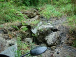 DSCN3272.JPG