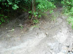 DSCN3276.JPG