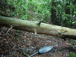 DSCN3282.JPG