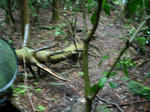 DSCN3283.JPG
