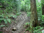 DSCN3284.JPG
