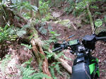 DSCN3292.JPG