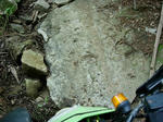 DSCN3293.JPG