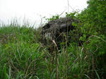 DSCN3294.JPG