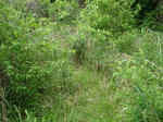DSCN3295.JPG