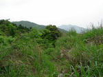 DSCN3296.JPG