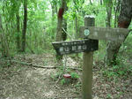 DSCN3299.JPG